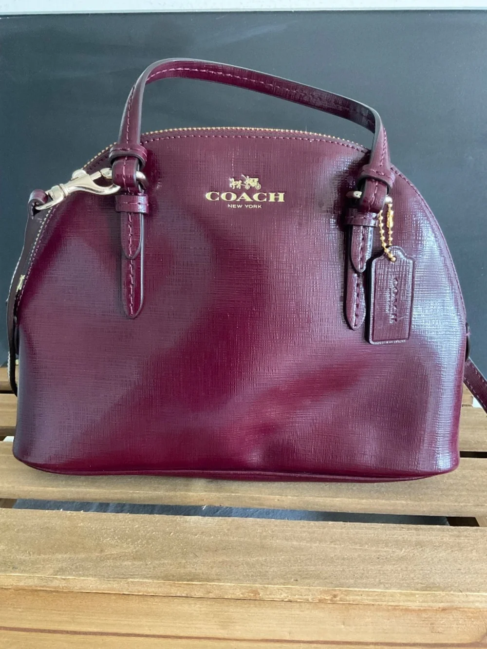 Coach this color